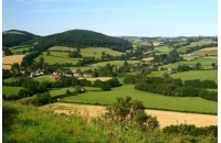 Prezentare generală